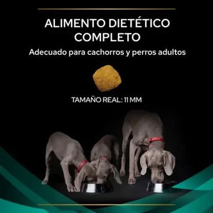 Pro Plan Veterinary Diets EN Cibo Gastrointestinale per Cani - 12 KG