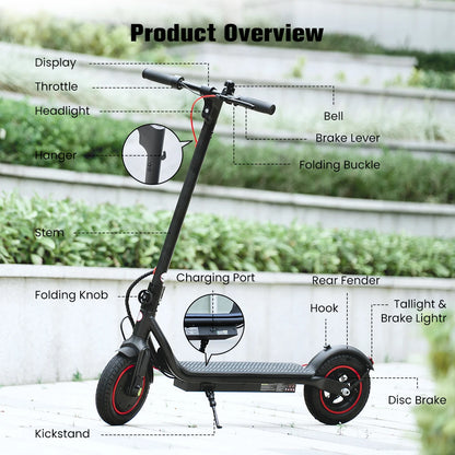 IScooter W6 Monopattino Elettrico per Adulti 10 Pollici 36V 10.5Ah Supporto App Voltix Autonomia Massima 30km Monopattini Elettrici Urbani