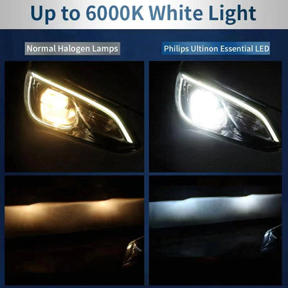 Philips LED H1 H3 H4 H7 H11 Ultinon Pro3101 12V/24V 6000K Bianco brillante HB3 9005 HB4 9006 HIR2 9012 Auto Faro Lampade a LED