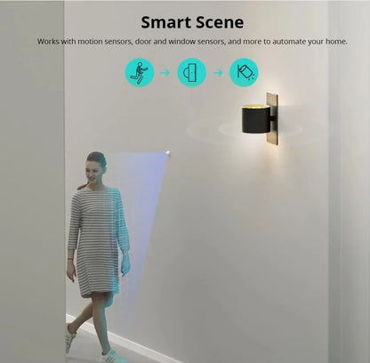 SONOFF MINI R4 Matter MINIR4M Matter Relè Sonoff Mini R4 Extreme Wifi Smart Switch Matter Alice Smart Home Control Alexa Google