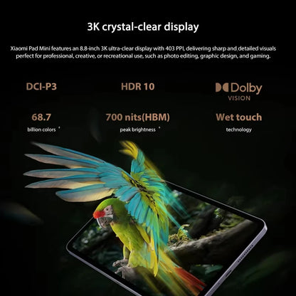 Versione Globale Xiaomi Pad Mini Tablet con Processore MediaTek Dimensity 9400+, Display 3K da 8.8" a 165Hz, Batteria Grande da 7500mAh