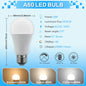 Confezione da 6/8/10 Lampadine LED E27 AC 220V 230V, 90LM/W CRI90 3W-24W, Illuminazione Bianca Calda/Fredda 3000K/4000K/6000K per Uso Domestico