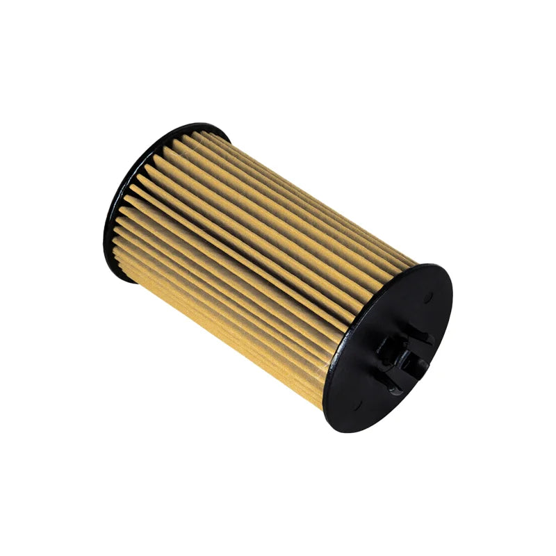 Filtro dell'olio Bosch AF0310 Adatto per Buick Regal LaCrosse Encore, per Chevrolet Cruze Malibu Trax Epica Aveo【OE：93185674】