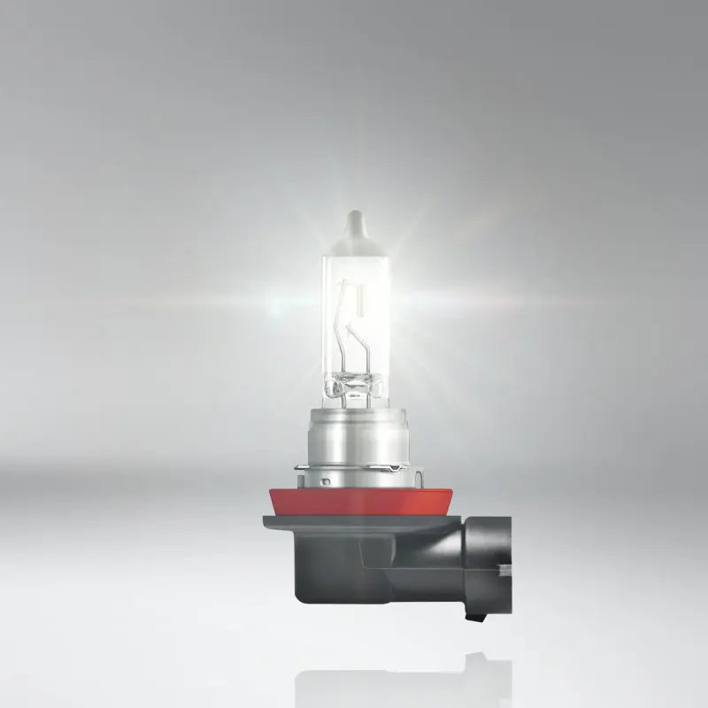 OSRAM 2 pz H11 12 V 55 W 3200 K 64193 PGJ19-2 Linea Originale Pezzi di Ricambio Faro Auto Standard Alogeno Fascio Alto Basso Germania, Coppia