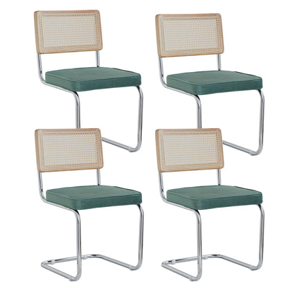 EGOONM Set di 2/4 sedie da pranzo retrò sedia in rattan di plastica casa camera da letto scrivania schienale sgabello arco computer ufficio sedile imbottito