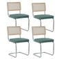 EGOONM Set di 2/4 sedie da pranzo retrò sedia in rattan di plastica casa camera da letto scrivania schienale sgabello arco computer ufficio sedile imbottito