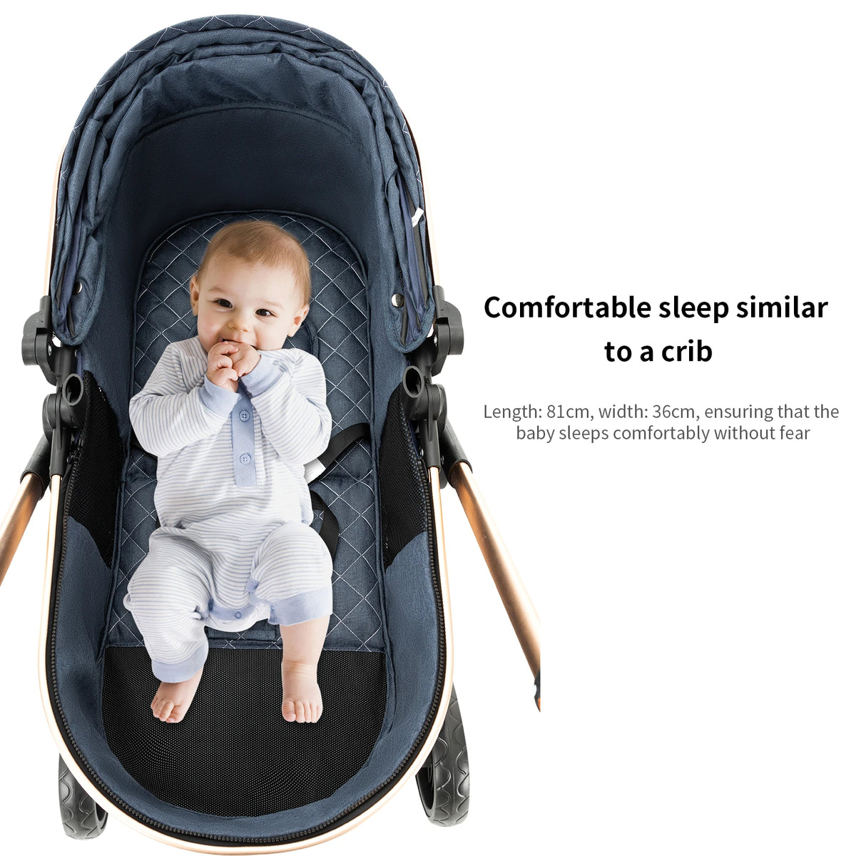 Passeggino Magic ZC 3 in 1, Sistema da Viaggio Compatto e Pieghevole con Navicella, Seggiolino Auto per Neonati e Seduta Reversibile, Carrozzina High Landscape, Ruote Ammortizzate, Manubrio Regolabile, Chiusura con Una Mano,