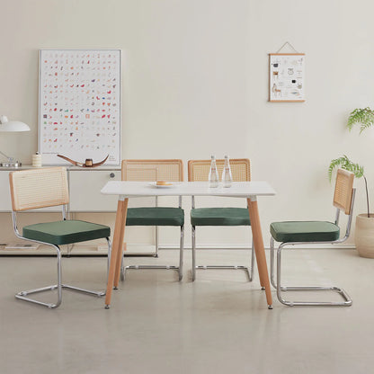 EGOONM Set di 2/4 sedie da pranzo retrò sedia in rattan di plastica casa camera da letto scrivania schienale sgabello arco computer ufficio sedile imbottito