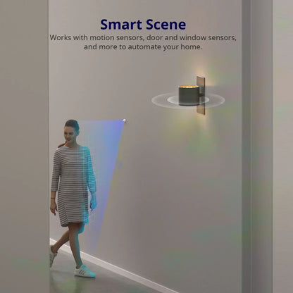 Sonoff Mini R4 Extreme Sonoff Minir4 Mini Sonoff R4 Wifi Smart Switch Interruttore relè Smart Home a 2 vie Modulo wireless tramite EWelink