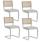 EGOONM Set di 2/4 sedie da pranzo retrò sedia in rattan di plastica casa camera da letto scrivania schienale sgabello arco computer ufficio sedile imbottito