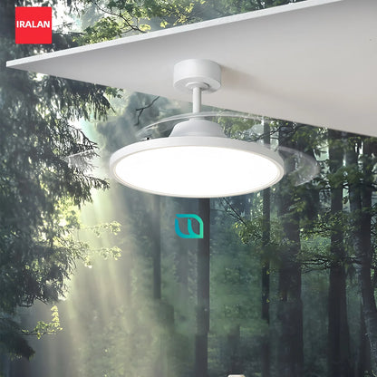 Ventilatore da soffitto semplice con luce Ventilatore elettrico intelligente retrattile Grande ventilatore per sala da pranzo per la casa Apparecchi decorativi da 42/48 pollici