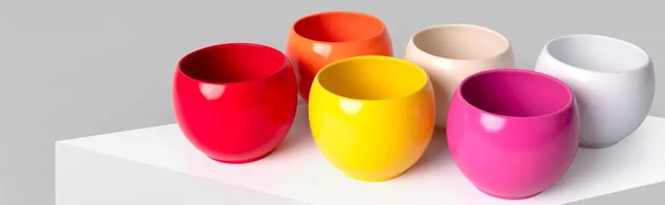 Spazzola per la pulizia della zanzariera La Briantina con spugna, doppio uso per pulire e spolverare, larghezza 16 cm