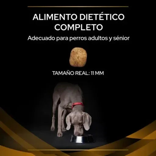 Pro Plan Veterinary Diets NF Renal Function Cibo per Cani - 12 KG