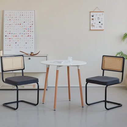 EGOONM Set di 2/4 sedie da pranzo retrò sedia in rattan di plastica casa camera da letto scrivania schienale sgabello arco computer ufficio sedile imbottito