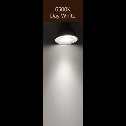 Philips CorePro Faretto LED MR16 3W 5W 12V Lampadina riflettente GU5.3 Supporto 2700K 6500K Lampada EyeComfort bianca per negozi di hotel