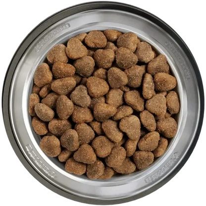 Belcando Junior Cibo per Cani con Agnello e Riso (Cani, Cibo, Alimentazione) - 12,5 KG